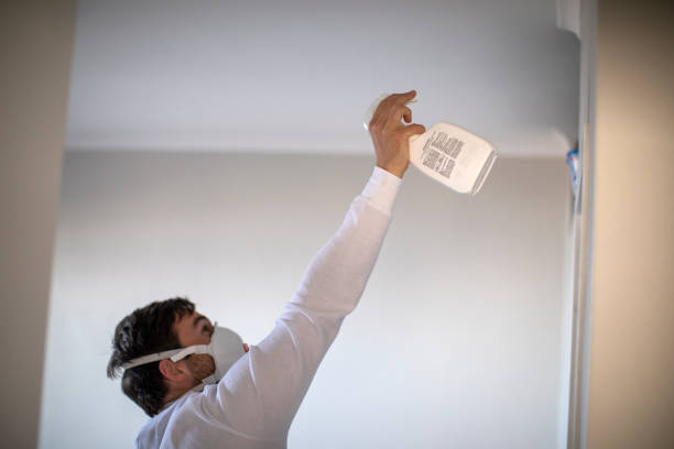 Mold Removal Process in Union, OH