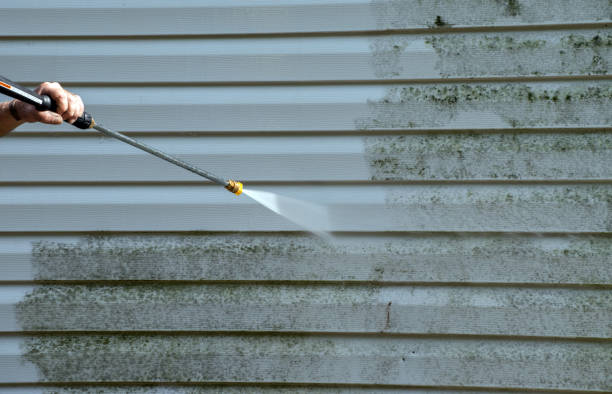 Best Mold Damage Repair  in Union, OH