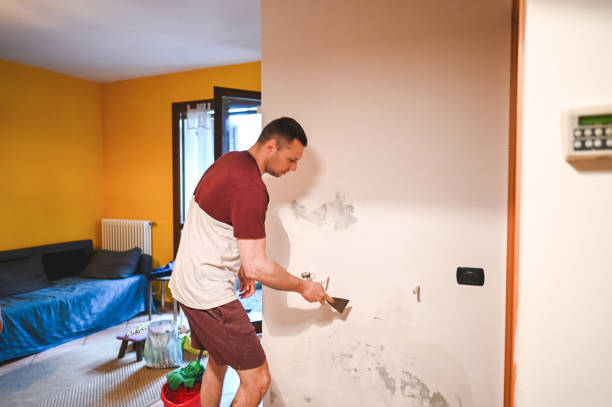 Professional Mold Removal in Union, OH